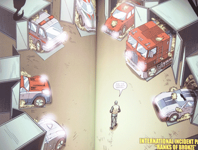 INTERNATIONAL INCIDESNT