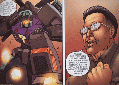 INTERNATIONAL INCIDESNT