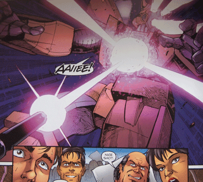 INTERNATIONAL INCIDESNT