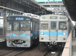 245.jpg