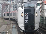 495.jpg