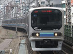 496.jpg