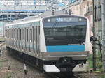497.jpg