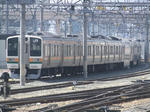 563.jpg