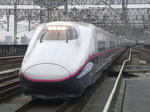 585.jpg