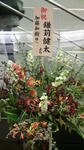 2009022013050000.jpg