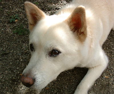 DSCF0008.gif