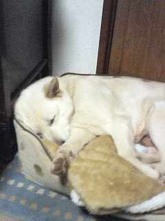 200808251408000.gif