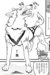 葵2