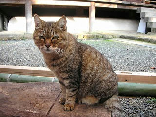 DSCN0943.jpg