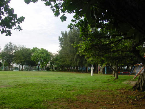 DSC00042.JPG