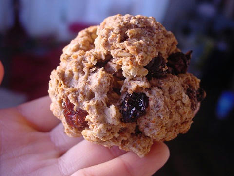 DSC00228-.jpg