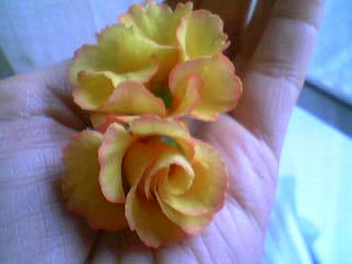 2012-02-23_07-47_0001.jpg