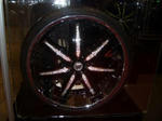 CIMG1826.JPG