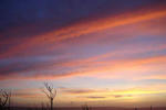 DSC00206.jpg