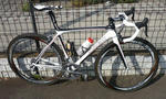madone5.jpg