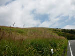 fuji-susuki.jpg
