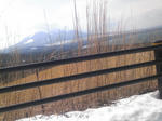 100313_mtfuji2.jpg