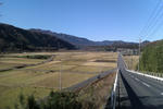 IMAG0003.jpg