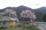 IMAG0064.jpg