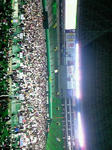 NEC_0706.jpg