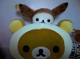 188cfcc0.gif