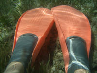 f311907ejpeg