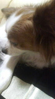 20080112213450.jpg