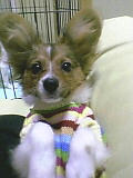 2005120701.jpg