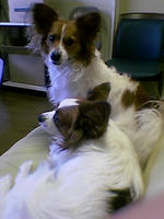 2005120702.jpg