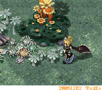 20051203.gif