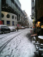 20060126.jpg