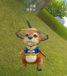 tanukio.JPG