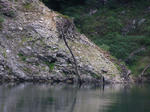 damu012.jpg