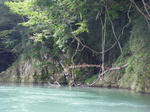 IMGP0064_edited-1.jpg