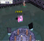 005.jpg