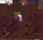 111.jpg