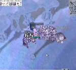 131.jpg