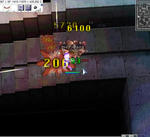 206.jpg