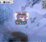 260.jpg