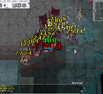469.jpg