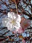 PA0_0001.JPG