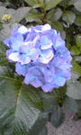 PA0_0010.JPG