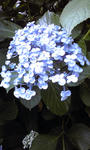 PA0_0027.JPG