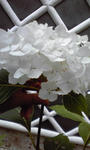 PA0_0028.JPG