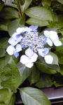 PA0_0029.JPG