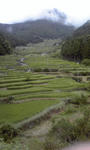 PA0_0037.JPG