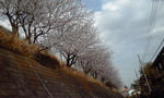 PA0_0018.JPG