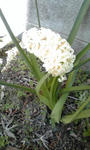 PA0_0020.JPG