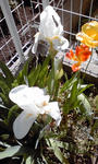 PA0_0032.JPG